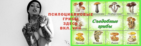 2c-b Корсаков