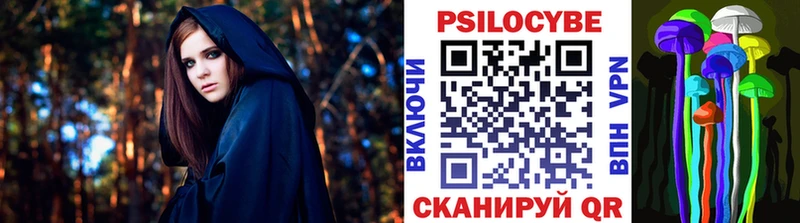 Купить закладки  Багратионовск  Галлюциногенные грибы Magic Shrooms 